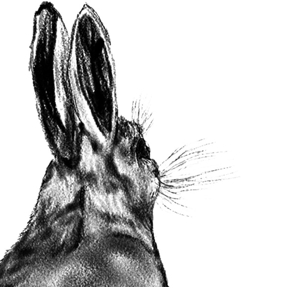 bunnybutler